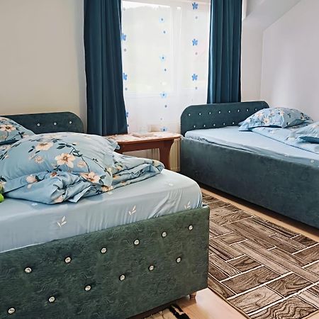 Hotel Casa Emilia Vatra Dornei Zewnętrze zdjęcie