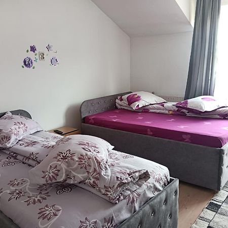 Hotel Casa Emilia Vatra Dornei Zewnętrze zdjęcie