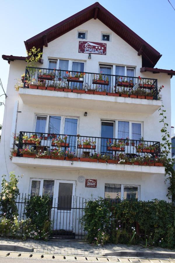 Hotel Casa Emilia Vatra Dornei Zewnętrze zdjęcie