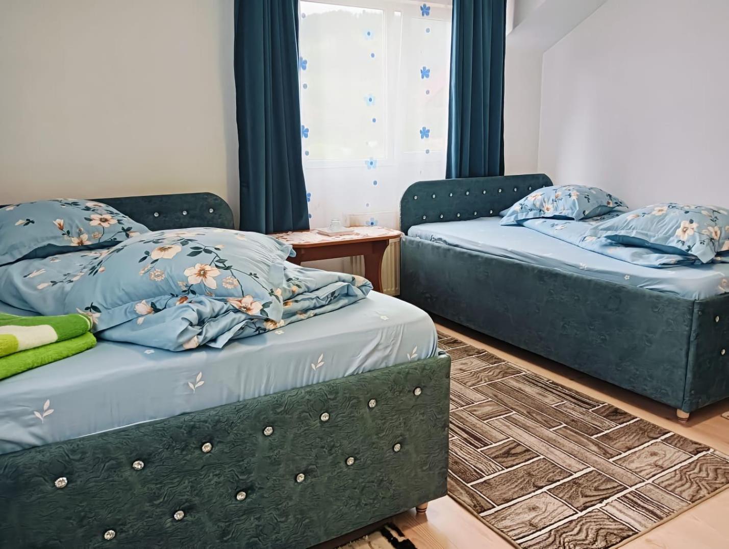 Hotel Casa Emilia Vatra Dornei Zewnętrze zdjęcie