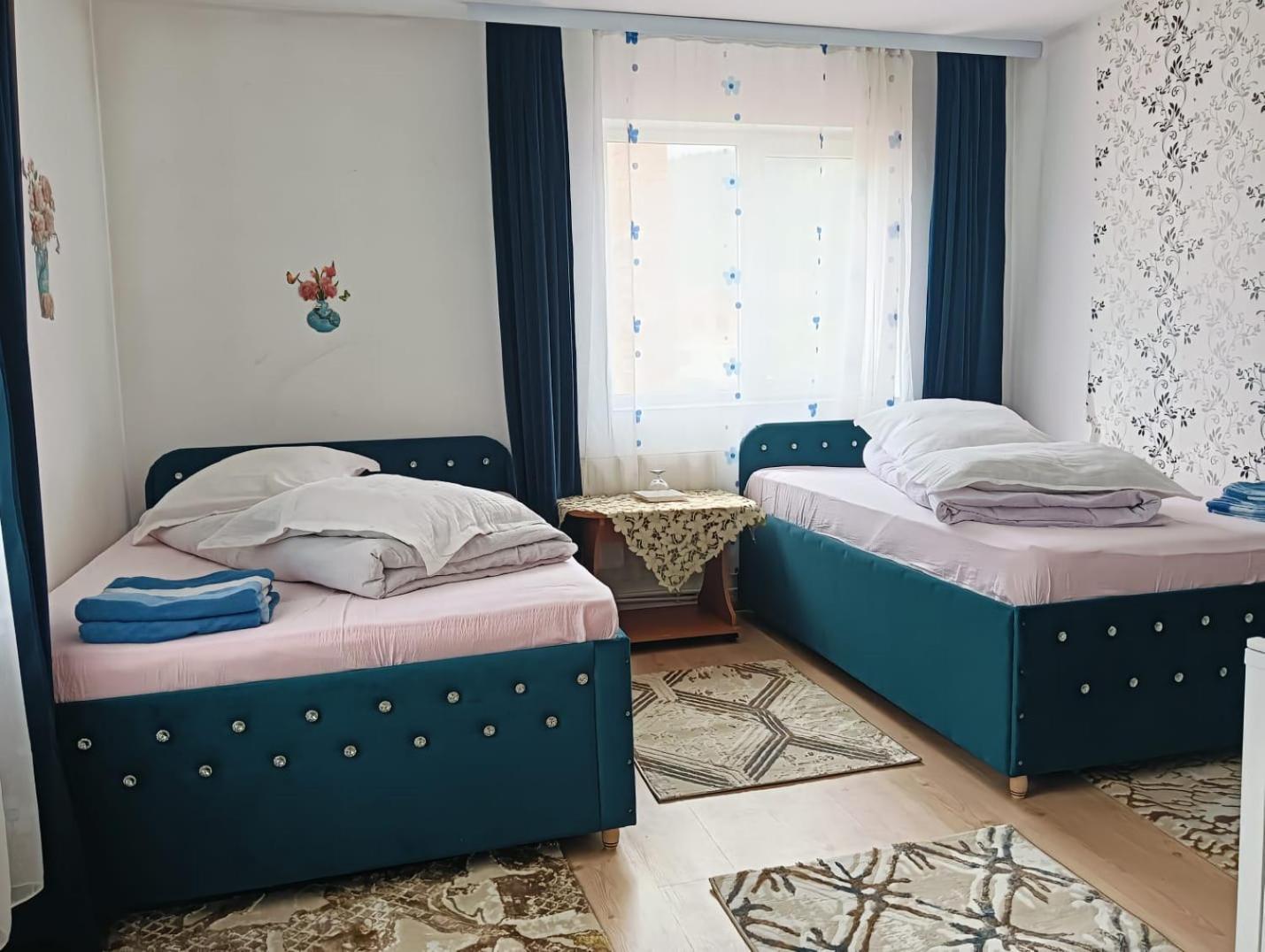Hotel Casa Emilia Vatra Dornei Zewnętrze zdjęcie