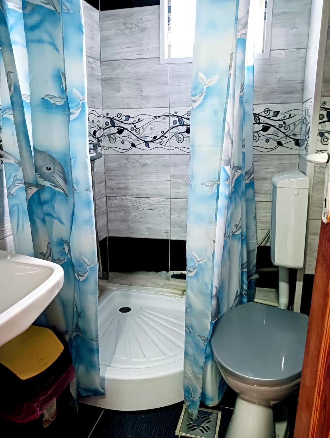 Hotel Casa Emilia Vatra Dornei Zewnętrze zdjęcie