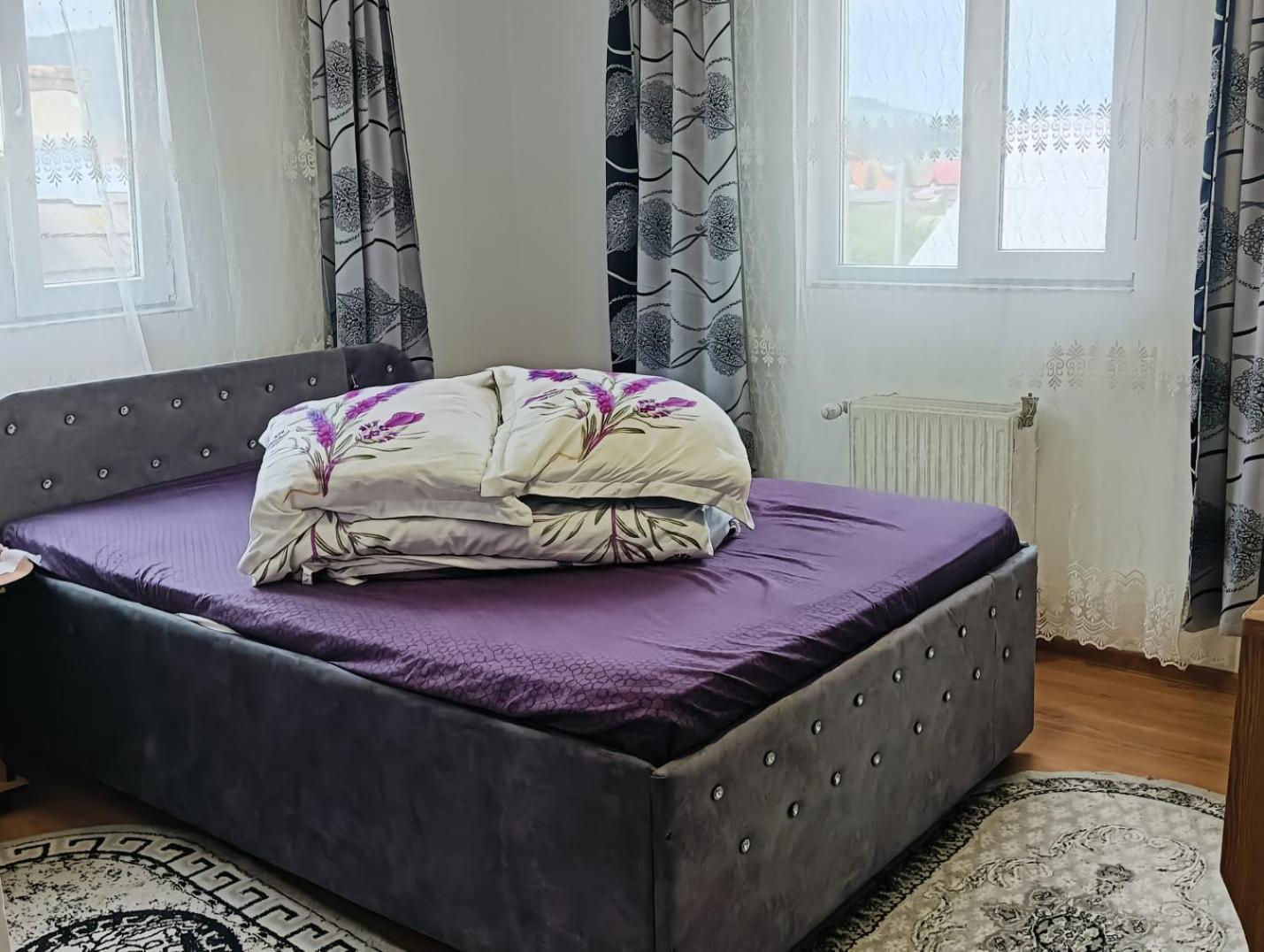 Hotel Casa Emilia Vatra Dornei Zewnętrze zdjęcie