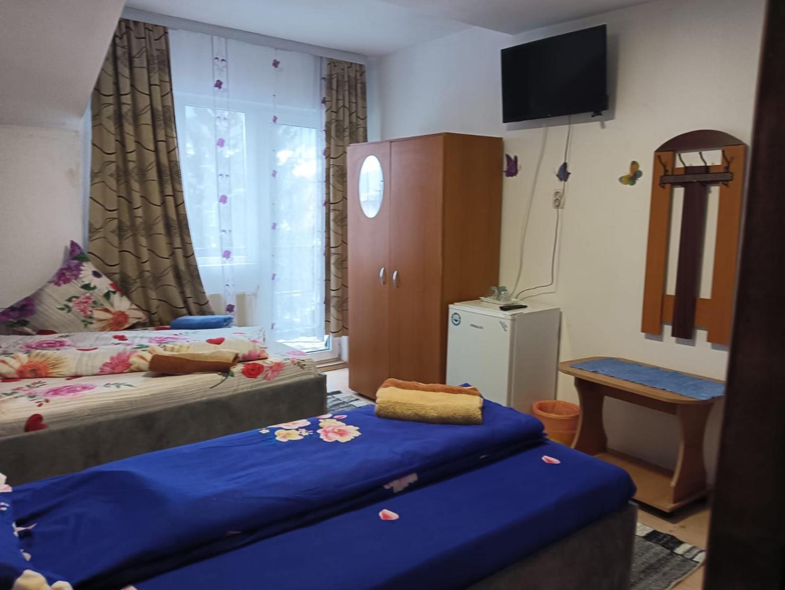 Hotel Casa Emilia Vatra Dornei Zewnętrze zdjęcie