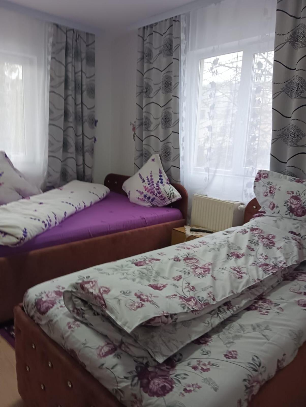 Hotel Casa Emilia Vatra Dornei Pokój zdjęcie
