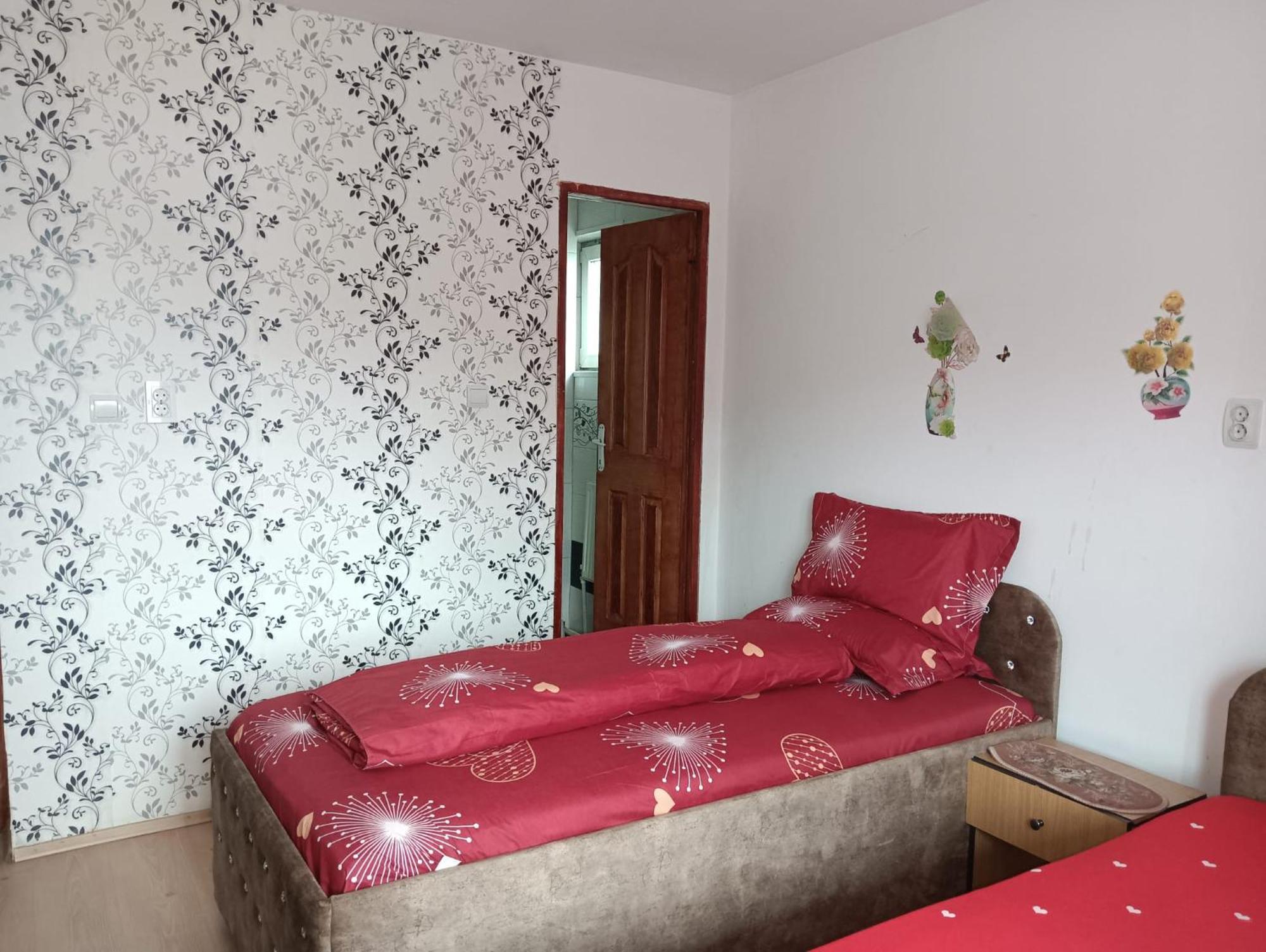 Hotel Casa Emilia Vatra Dornei Zewnętrze zdjęcie