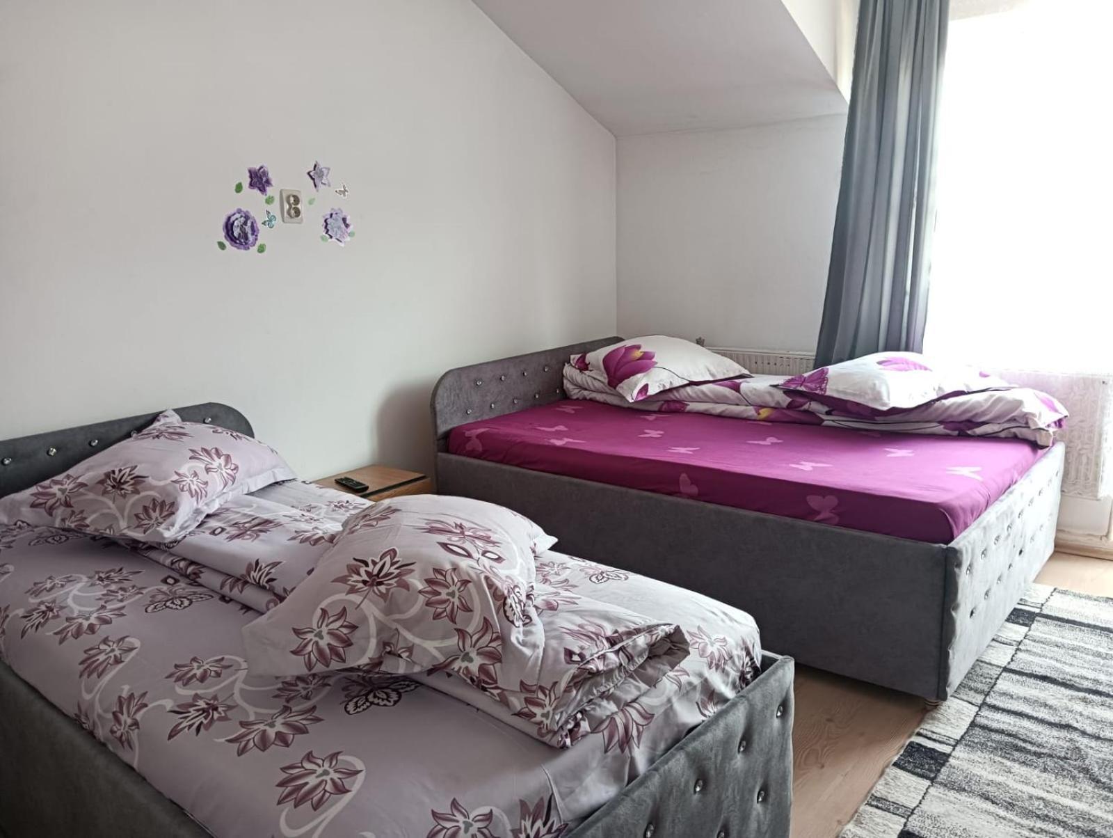 Hotel Casa Emilia Vatra Dornei Zewnętrze zdjęcie
