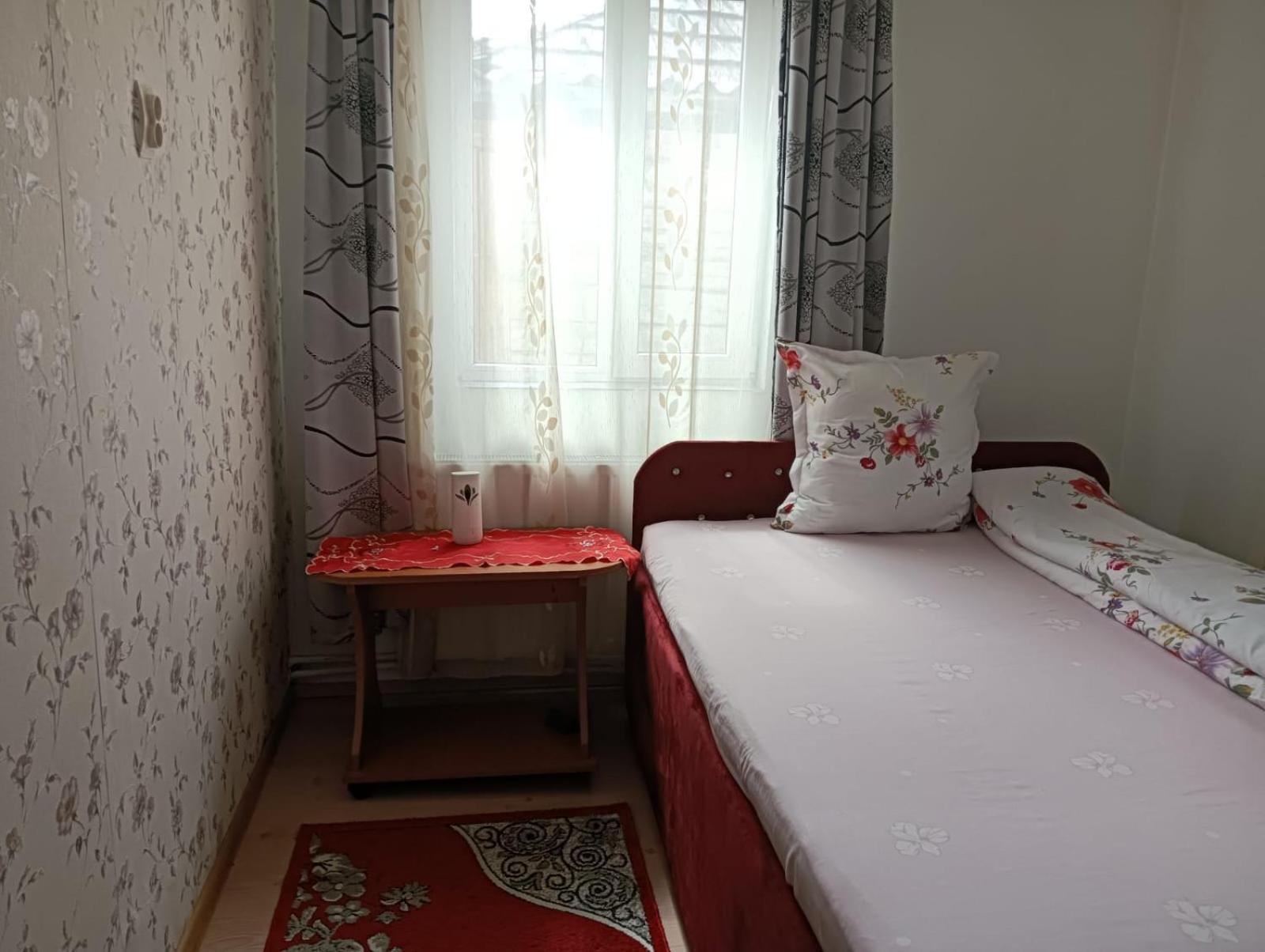Hotel Casa Emilia Vatra Dornei Zewnętrze zdjęcie