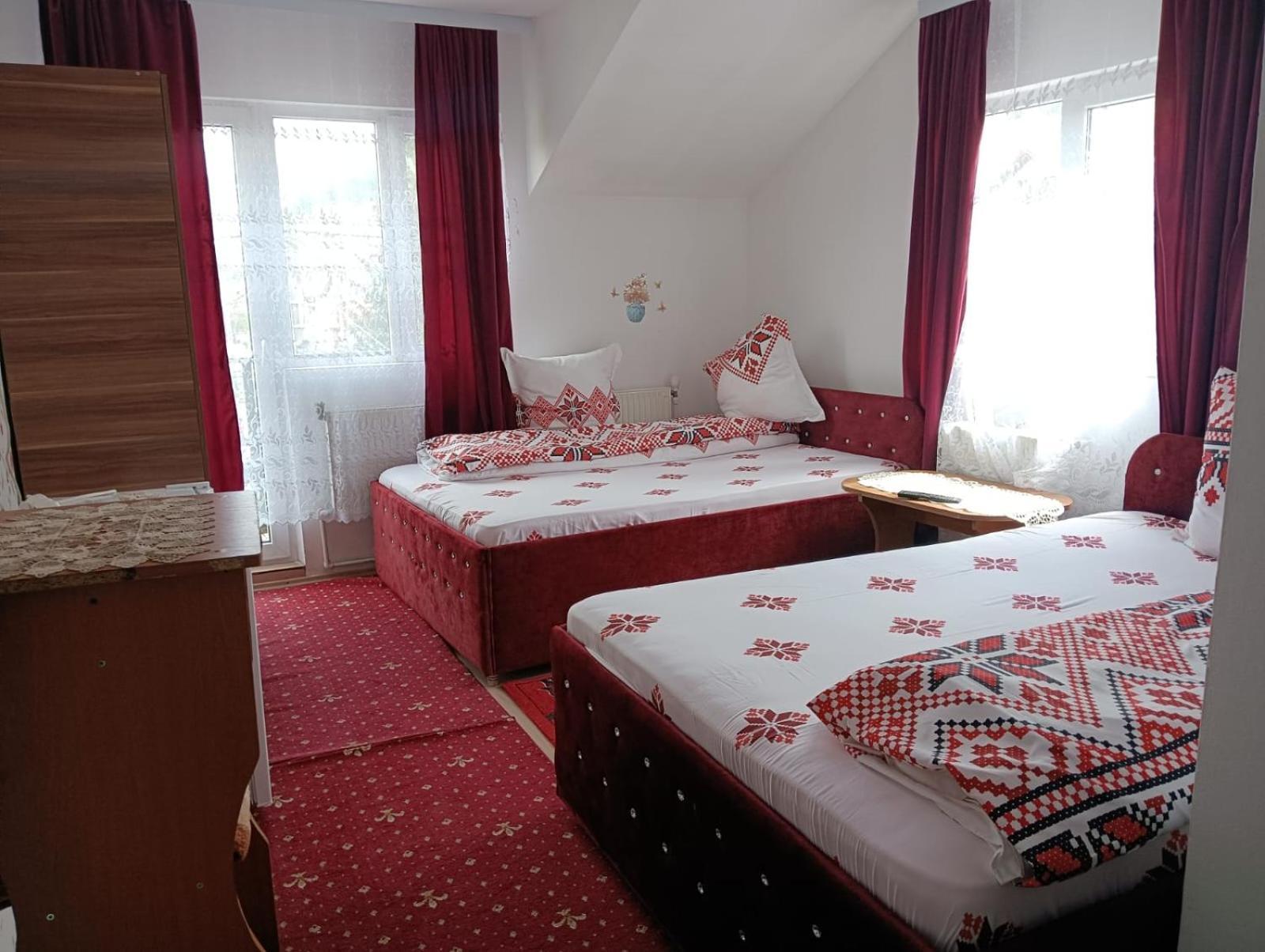 Hotel Casa Emilia Vatra Dornei Zewnętrze zdjęcie