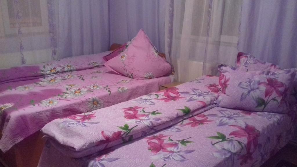 Hotel Casa Emilia Vatra Dornei Zewnętrze zdjęcie
