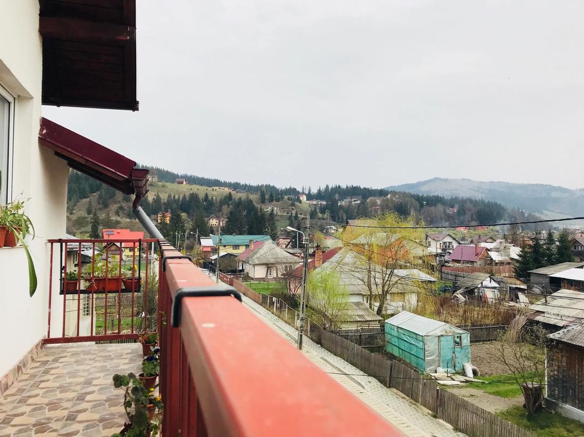 Hotel Casa Emilia Vatra Dornei Zewnętrze zdjęcie